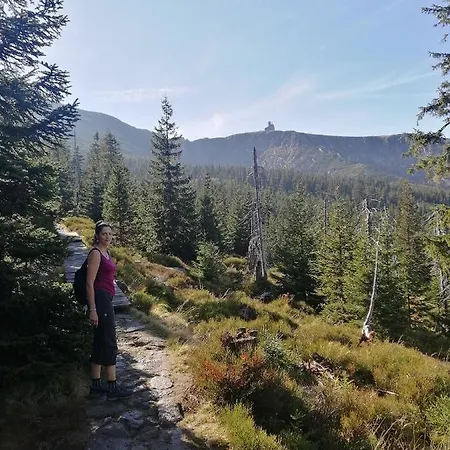 Meisterburg * Sciegny