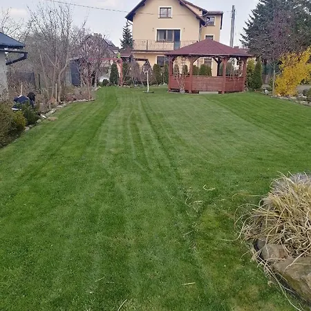 Проживание в семье Meisterburg