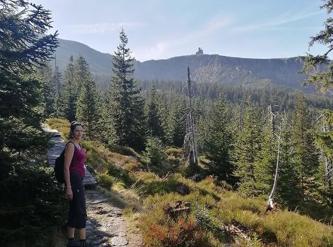 Meisterburg * Ściegny